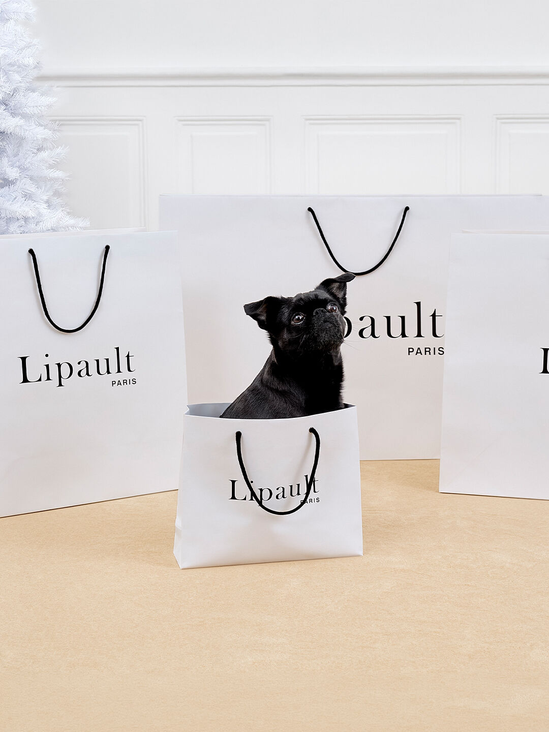 DAS PERFEKTE GESCHENK