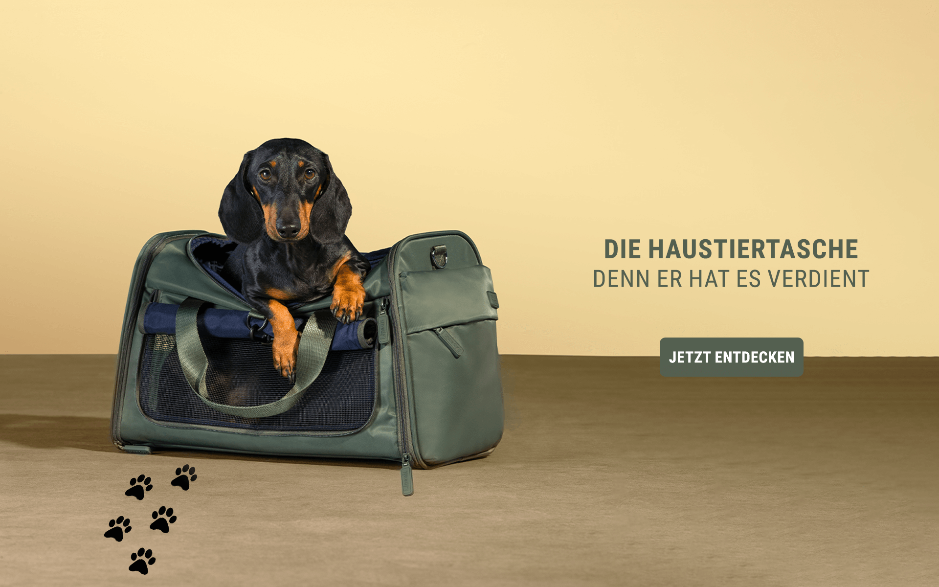 The pet bag | Lipault
